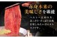 ハンバーグ 人気 和牛  長崎和牛 希少 柔らかい やわらかい 贈り物 ギフト 