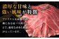 ハンバーグ 人気 和牛  長崎和牛 希少 柔らかい やわらかい 贈り物 ギフト 