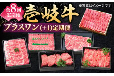 【全8回定期便】 特選 壱岐牛 プラスワン（＋1）定期便 《壱岐市》【太陽商事】[JDL097] 肉 牛肉 ステーキ サーロイン モモ 焼肉 すき焼き しゃぶしゃぶ 鍋 赤身 定期便 306000 306000円