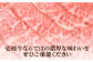 ステーキ 人気 和牛  壱岐牛 希少 柔らかい やわらかい 贈り物 ギフト  肉