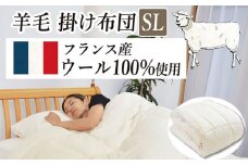 フランスウール・掛け布団【シングル：150×210cm】（KIK0045S）《壱岐市》【くじめ屋】 [JFU018]
