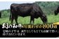 ハンバーグ 人気 和牛  長崎和牛 希少 柔らかい やわらかい 贈り物 ギフト 