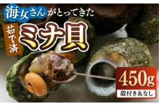 ボイル ミナ貝 450g（殻付き300g・殻剥き150g）《壱岐市》【鈴の海庭】 貝 魚貝 海産物 ボイル 刺身 小分け おつまみ サザエ ニナ貝 シッタカ [JFV001]