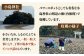 牡蠣 かき カキ 天然 生ガキ カキフライ 魚介 海鮮 貝 BBQ バーベキュー