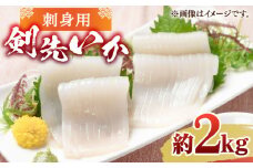 刺身用 剣先イカ 約2kg（急速冷凍）《壱岐市》【魚助】 イカ いか 剣先いか ケンサキイカ 刺身 刺し身 お刺身 鮮魚 海鮮 [JFX001]
