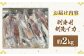 いか 烏賊 イカ セット 急速冷凍 刺身 イカ丼 海鮮丼 魚介 海の幸 絶品