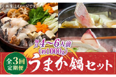 【先行予約受付中】【全3回定期便】《1・2・3月お届け》 うまか鍋セット 4～6人前（切身約1000g）【2026年1月以降順次発送】
 《壱岐市》【魚助】 鍋 くえ クエ ブリ ぶり 鰤 鯛 たい タイ クエ鍋 ブリしゃぶ ぶりしゃぶ 鯛しゃぶ タイしゃぶ 海鮮鍋 しゃぶしゃぶ [JFX004]