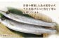 人気 海鮮 魚介 干物 ごはんのお供 朝食 昼食 夕食 夜食 セット 食べ比べ 
