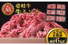 【全2回定期便】壱岐牛 A5ランク 牛ミンチ 約500g×6《壱岐市》【KRAZY MEAT】 小分け ミンチ 挽き肉 ひき肉 牛肉 赤身 ハンバーグ 肉 個包装 [JER090]