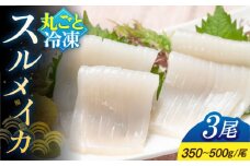 【冷凍】 スルメイカ 3尾（350～500g/尾）《壱岐市》【馬渡水産】 イカ いか 烏賊 スルメイカ するめ 刺身 刺し身 お刺身 海鮮 魚貝 冷凍配送 産地直送 [JAQ004]
