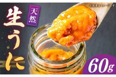 【先行予約】壱岐産 生うに 60g×1本【2026年5月以降順次発送】《壱岐市》【馬渡水産】 生ウニ うに ウニ 雲丹 紫うに ムラサキウニ 海鮮 希少 冷蔵配送 [JAQ005]