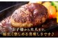 ハンバーグ 人気 和牛  長崎和牛 希少 柔らかい やわらかい 贈り物 ギフト 