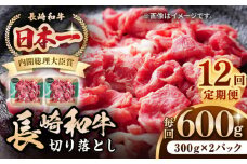 【全12回定期便】長崎和牛 切り落とし 600g（300g×2パック）《壱岐市》【長崎フードサービス】 肉 牛肉 赤身 小分け 国産 切落し 切り落し 冷凍配送 [JEP026]