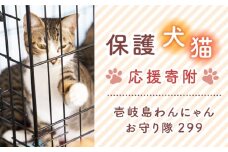 【返礼品なし】壱岐島わんにゃんお守り隊299への応援寄付（1口2,000円より）《壱岐市》