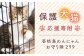 ピュア寄附 純粋寄附 応援寄附 寄附だけ 支援 地域貢献 応援 犬 猫 動物