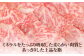 ステーキ 人気 和牛  壱岐牛 希少 柔らかい やわらかい 贈り物 ギフト  肉