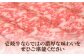 ステーキ 人気 和牛  壱岐牛 希少 柔らかい やわらかい 贈り物 ギフト  肉