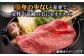 人気 和牛  壱岐牛 希少 柔らかい やわらかい 贈り物 ギフト  肉 黒毛和牛