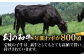 ハンバーグ 人気 和牛  長崎和牛 希少 柔らかい やわらかい 贈り物 ギフト 