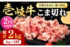 【全2回定期便】 壱岐牛 こま切れ （バラ） 1kg《壱岐市》【株式会社イチヤマ】 肉 牛肉 細切れ 小間切れ BBQ 焼肉 [JFE121]