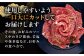 ハンバーグ 人気 和牛  長崎和牛 希少 柔らかい やわらかい 贈り物 ギフト 