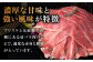 ハンバーグ 人気 和牛  長崎和牛 希少 柔らかい やわらかい 贈り物 ギフト 
