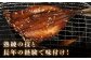 人気 魚介 ごはんのお供 朝食 昼食 夕食 夜食 セット 朝食 昼食 夕食