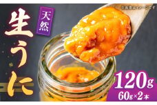 【先行予約】壱岐産 生うに 60g×2本【2026年5月以降順次発送】《壱岐市》【馬渡水産】 生ウニ うに ウニ 雲丹 紫うに ムラサキウニ 海鮮 希少 冷蔵配送 [JAQ010]