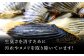 おすすめ オススメ こだわり ギフト 人気 特産品 贈り物 ギフト  