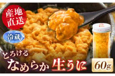 数量限定！壱岐の生うに 60g×1本《壱岐市》【大幸物産】生ウニ 生雲丹 うに ウニ 雲丹 希少 産地直送 冷蔵配送 17000円 17000  [JEH026]