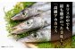 人気 海鮮 魚介 干物 ごはんのお供 朝食 昼食 夕食 夜食 セット 食べ比べ 