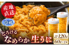 数量限定！壱岐の生うに 60g×2本《壱岐市》【大幸物産】生ウニ 生雲丹 うに ウニ 雲丹 希少 産地直送 冷蔵配送 30000円 30000  [JEH027]