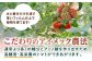 トマト とまと 甘い リピート 野菜 壱岐産 ミディトマト 朝食 常備品 高糖度