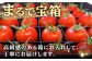 トマト とまと 甘い リピート 野菜 壱岐産 ミディトマト 朝食 常備品 高糖度