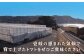 トマト とまと 甘い リピート 野菜 壱岐産 ミディトマト 朝食 常備品 高糖度