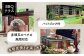 旅行 チケット 体験 宿泊 バーベキュー BBQ 壱岐グルメ  家族旅行 友人 
