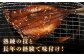 人気 魚介 ごはんのお供 朝食 昼食 夕食 夜食 セット 朝食 昼食 夕食