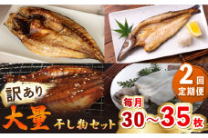 【全2回定期便】【訳あり】大量干し物セット《壱岐市》【馬渡水産】訳あり 訳アリ あじ アジ いわし イワシ かます カマス いか イカ さば サバ 鯵 鰯 鯖 干物 ひもの 干物セット 冷凍配送 [JAQ020]