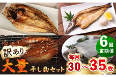 【全6回定期便】【訳あり】大量干し物セット《壱岐市》【馬渡水産】訳あり 訳アリ あじ アジ いわし イワシ かます カマス いか イカ さば サバ 鯵 鰯 鯖 干物 ひもの 干物セット 冷凍配送 [JAQ022]