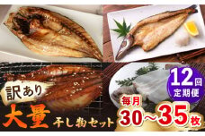 【全12回定期便】【訳あり】大量干し物セット《壱岐市》【馬渡水産】訳あり 訳アリ あじ アジ いわし イワシ かます カマス いか イカ さば サバ 鯵 鰯 鯖 干物 ひもの 干物セット 冷凍配送 [JAQ023]