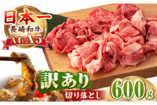 【A4～A5ランク】【訳あり】長崎和牛 モモ・バラ 切り落とし 600g《壱岐市》【野中精肉店】 黒毛和牛 牛肉 和牛 訳アリ 赤身 モモ バラ ワケあり 小間切れ [JGC004]