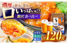 生うに 塩うに 食べ比べセット《壱岐市》【合同会社塚元】ムラサキウニ 生ウニ 塩ウニ 海産物 海鮮 ウニ うに 雲丹 珍味 冷凍配送 [JDR024]