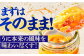 人気   うに ウニ 雲丹  新鮮 海鮮  贈り物 魚介 ごはんのお供 朝食 昼