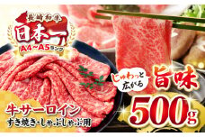 【厳選部位】A4〜A5ランク 長崎和牛 サーロイン スライス 500g（すき焼き・しゃぶしゃぶ）《壱岐市》【株式会社MEAT PLUS】 肉 牛肉 黒毛和牛 鍋 ご褒美 冷凍配送 [JGH011]
