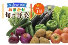 【全2回定期便】旬の野菜セット 7品《壱岐市》【壱岐市農業協同組合】季節 健康 栄養 やさい 詰め合わせ [JBO131] 20000 20000円
