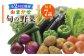 野菜 セット 詰め合わせ 詰合せ 季節の野菜 やさい