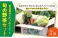 野菜 セット 詰め合わせ 詰合せ 季節の野菜 やさい