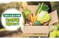 野菜 セット 詰め合わせ 詰合せ 季節の野菜 やさい