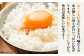 米 お米 ご飯 ごはん 白米 お弁当 新米 朝食 常温