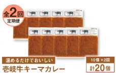 【全2回定期便】壱岐牛キーマカレー 10個《壱岐市》【壱岐味噌工房】黒毛和牛 ブランド牛 九州 カレー 牛肉 [JBW037]